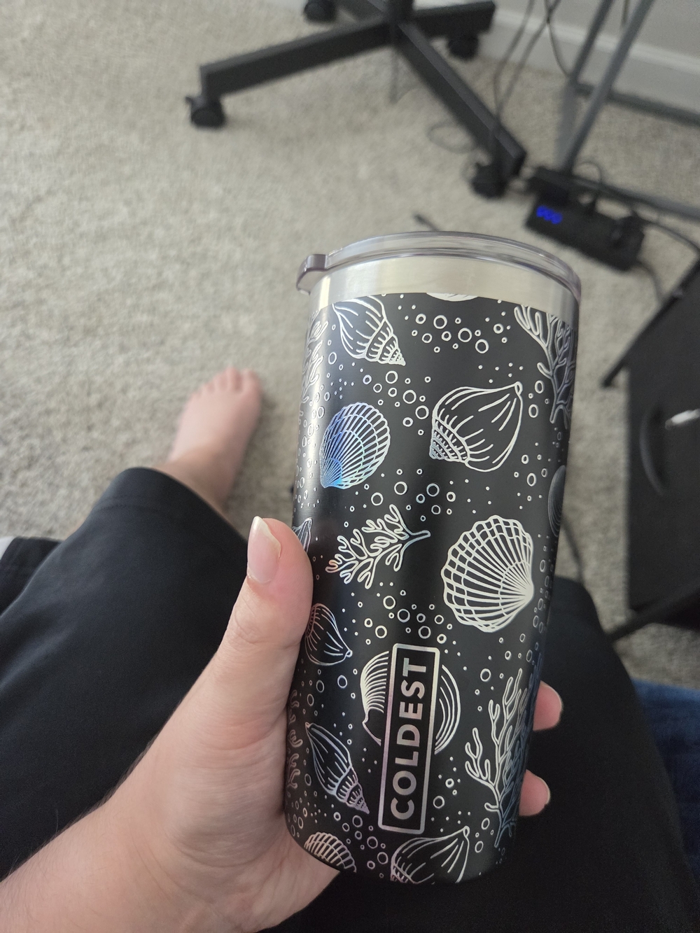 20 oz moonlight seashells